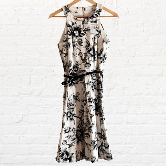 NWT DB Established 1962 Dress barn HUMMINGBIRD A Line “Marilyn Monroe “Dress SZ8 - Picture 4 of 10